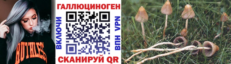 Псилоцибиновые грибы MAGIC MUSHROOMS  Ангарск 