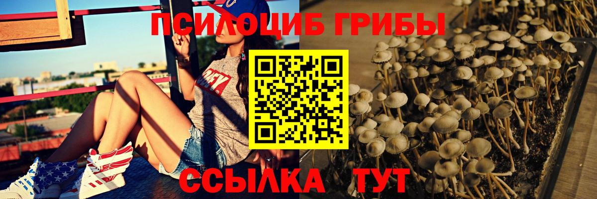 Галлюциногенные грибы прущие грибы  Псилоцибиновые грибы Cubensis  Вход с VPN  Ангарск 